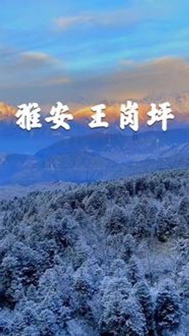 陈希在全国党校（行政学院）校长（院长）会议上强调 以基本培训为重要抓手 推动党校（行政学院）事业高质量发展