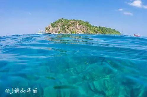 侠客前传