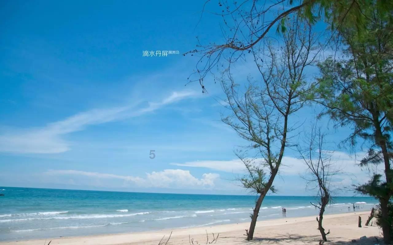 曝52岁汪峰娶网红陈露!两人逛街被偶遇,女方社交账号曝光