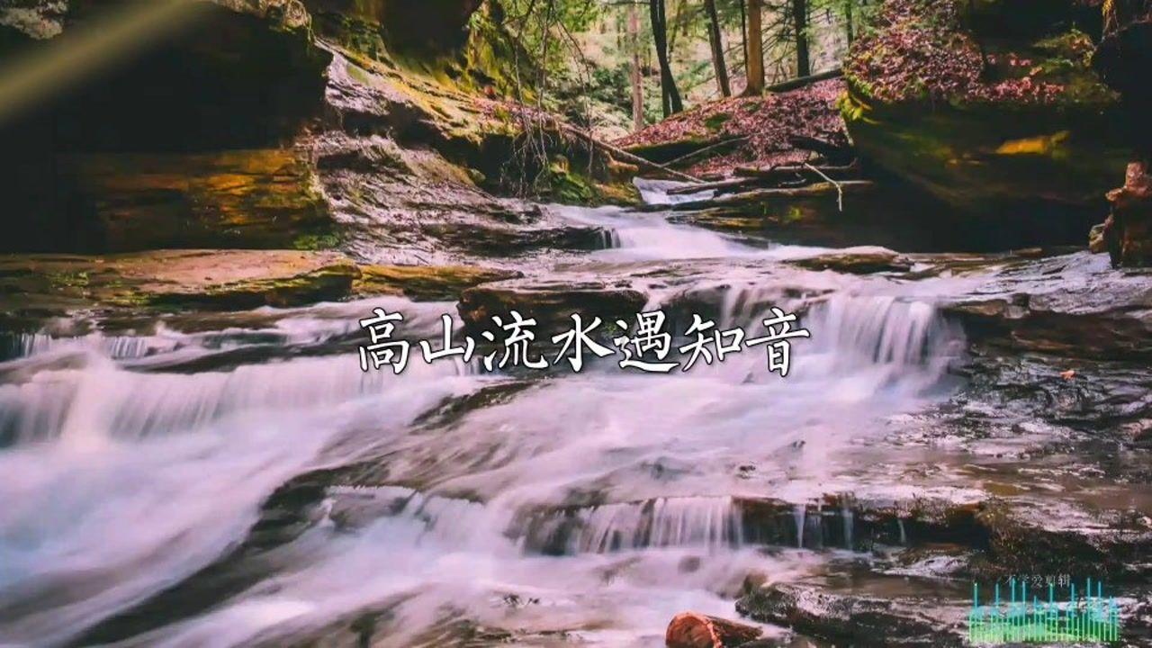 动物帮帮忙保卫家园