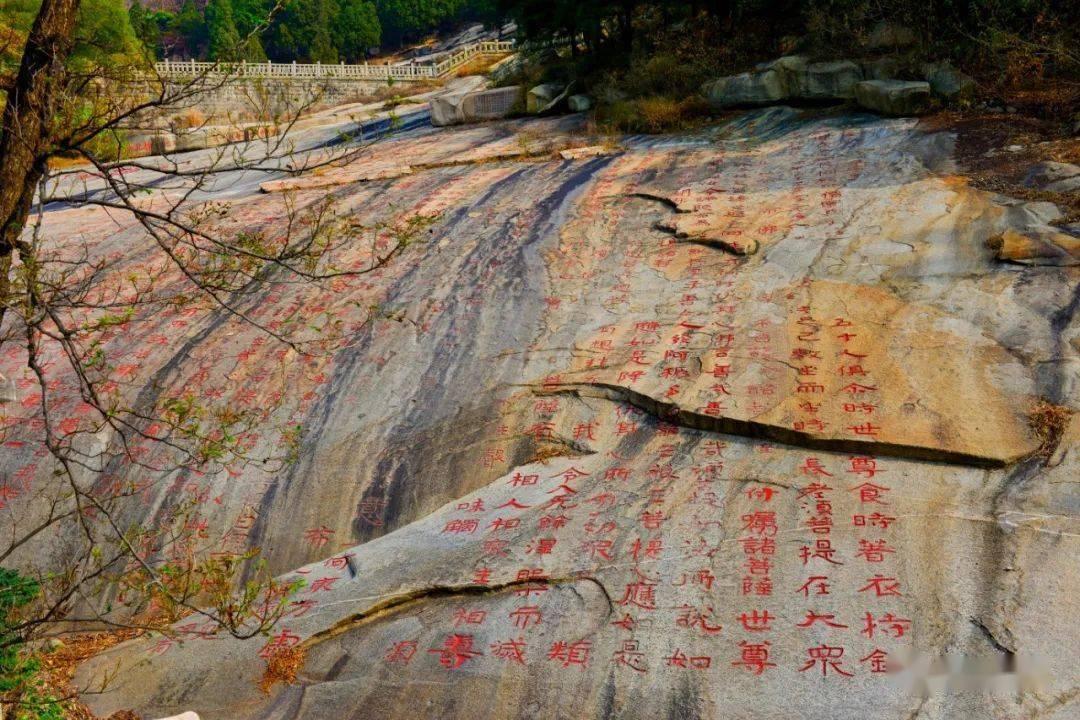 嫌疑人正喝茶时被办案民警抓获