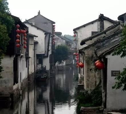 饥饿的松鼠救援